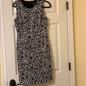 Ann Taylor Dtess